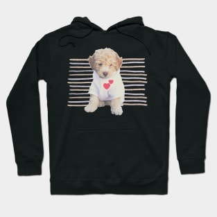 BABY DOGGO Hoodie